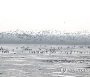 북한, 세계습지의 날 조명
