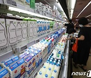 옥수수·쌀 제외 세계식량가격 하락세…지수 10개월 연속↓