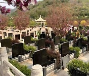 코로나 사망자 급증…中 베이징 묘지 '부르는 게 값'
