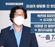 검찰 김성태 구속기소…'800만 달러 대북 송금' 등 7개 혐의
