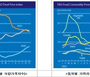 세계 식량 가격 10개월째 하락…치즈·곡물 상승