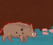 충주서 ASF 멧돼지 4마리 발견…누적 307마리