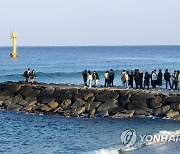 강릉 도깨비 방파제의 봄 풍경