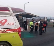 80대 치매노인, 자전거 타고 고속도로 진입했다가 버스에 치여 사망