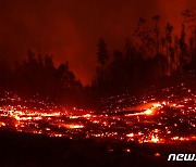 칠레 산불로 사망자 최소 23명…남부 재난지역 선포