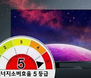 '고화질↔저전력'…프리미엄TV 딜레마