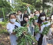 인천시 농업기술센터, 텃밭 가꾸기 초등학교 모집