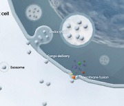`엑소좀` 뜨자 … 종근당·대웅제약, 합종연횡으로 기술 선점