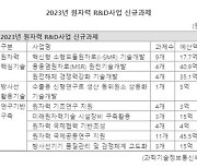 SMR 포함 원자력 R&D에 2675억 투입