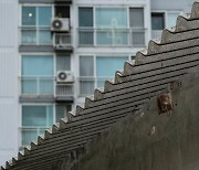 '발암물질' 석면 슬레이트 지붕 철거 최대 700만원 지원