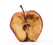 설에 받은 사과, 배… 깎은 후 갈변 막으려면?