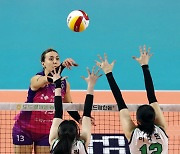 V League heats up as Pink Spiders challenge Hillstate for first place