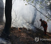 경북 영천시 산불 발생…1시간 6분 만에 주불 진화 완료