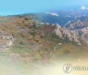 한풀 꺾인 추위…정월대보름 주말 산행 중 '삐끗' 사고 잇따라