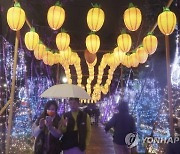 Taiwan Lantern Festival