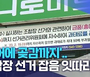 '홍어에 곶감까지'..조합장 선거 잡음 잇따라