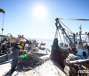 남해군, 강진만 청정어장 재생사업 추진…오염퇴적물제거·바다 밑 환경정화