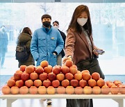 "혼자 먹기엔 사과맛 너무 좋아"…'애플페이' 잡은 현대카드 깜짝쇼