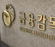 '주인 없는 은행' 감독 강화..."이사회 정기 면담도 추진"