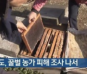 [여기는 전남] 전남도, 꿀벌 농가 피해 조사 나서 외