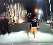경찰차로 ‘쿵쿵’…부산에 멧돼지 출몰해 1마리 사살[영상]