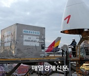 홍콩~북미 항공화물 운임료 반토막…1년 사이 무슨 일이