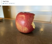 “사과는 껍질째 드시라” 애플페이 도입 현대카드, 출근길 깜짝 이벤트