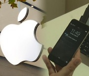 애플페이 출시에…간편결제 시장 지각변동?