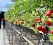 익산시, 농축산업 융자금 이차보전…3억원까지 1∼2%대 대출