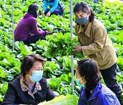온실 채소 가꾸는 북한 노동자들…"인민 식생활 향상에 이바지"