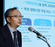 오재우 국제금융과장 '외환시장 구조 개선 방안 논의'