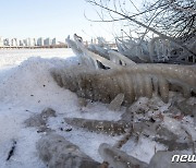 열흘 만에 기온 19.6도 하락…충북 1월 기온 변동폭 커