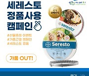 "강아지 진드기 목걸이 진품 사용해달라"…세레스토 캠페인 시작