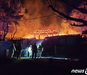 지난해 부산 화재 증가로 사망자 2배 이상↑…가뭄에 임야화재도 대폭 증가