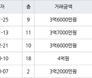 수원 영통동 영통센트럴파크뷰 59㎡ 3억6000만원에 거래