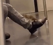 뉴욕 지하철도 점령한 '대형 쥐'..잠든 남성 다리 타고 얼굴로 껑충[영상]