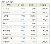 [fnRASSI]장마감, 거래소 하락 종목(STX중공업 -9.0% ↓)