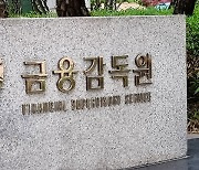 ‘허위 정책자금대출로 보이스피싱’…금감원, 소비자경보 발령