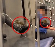 잠든 남성 몸 위로 슬금슬금…지하철도 점령한 대범한 쥐