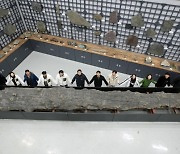2000만년 전 흔적 그대로…국내 최장 ‘나무화석’ 공개