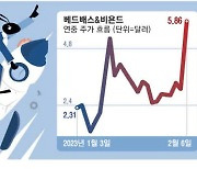 [월가월부] 베드배스 153%·AMC 73% 폭등 …'밈주식' 광풍 돌아왔다