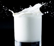 자꾸 가격 오르니, 흰우유 판매량 ‘뚝’ … 가성비 멸균 우유·PB 상품 인기는 ‘쑥’