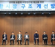 "외환시장 개방, 국내 은행 네트워크 역량 부족 우려"[외환시장 선진화 일문일답]