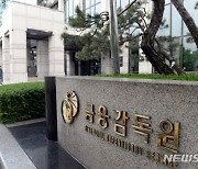 금감원, 올해 NH·KB·신한증권 정기검사 검토