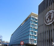 WHO "튀르키예 강진으로 2300만명 영향받을 것"