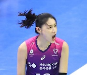 [포토S] 김연경, 머리칼 휘날리며 포효