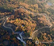 오산 독산성 산길서 차량 추락…운전자 1명 사망