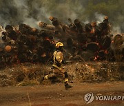 산불 피해 현장을 달리는 칠레 소방대원