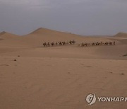 중국 네이멍구, 풍력·태양광 등에 31조원 투자 계획