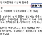 금감원 "서민 정책자금대출 가장한 보이스피싱 활개" 주의경보